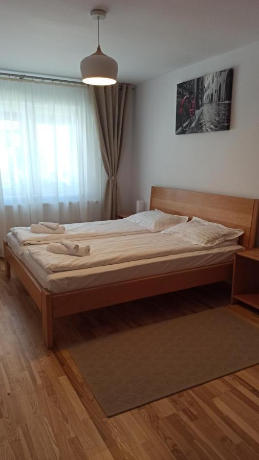 Chrysanthemum Apartment Sighisoara Luaran gambar