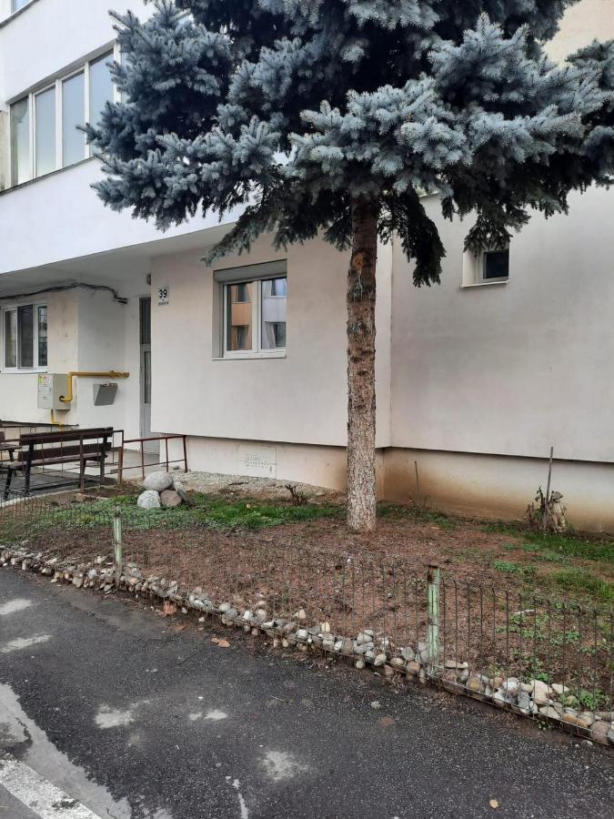 Chrysanthemum Apartment Sighisoara Luaran gambar