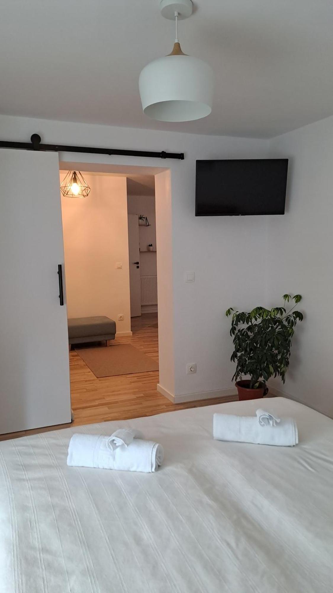 Chrysanthemum Apartment Sighisoara Luaran gambar